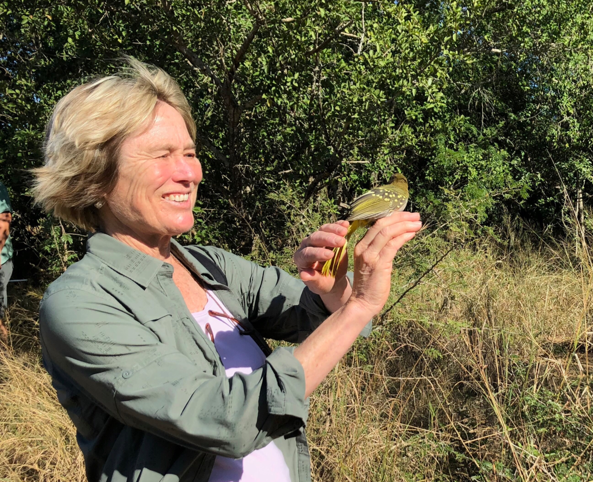 Me releasing a banded bird